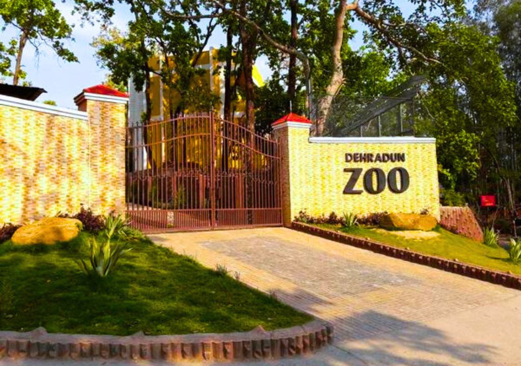 Rajaji National Park Wildlife